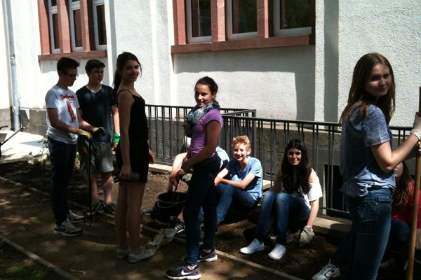 Schulgarten 2013